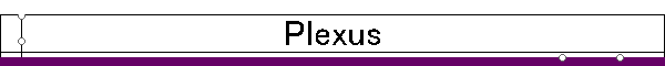 Plexus