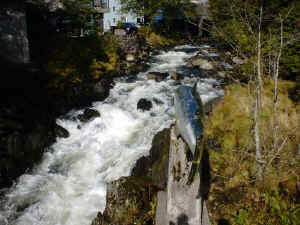 Ketchikan_008half.JPG (76173 oCg)